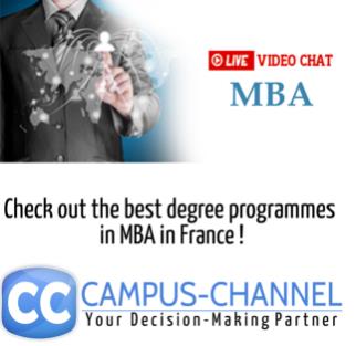 濵 MBA (MBA de gestion)
