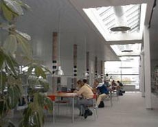 IIEF - Strasbourg,��Ʈ�󽺺θ����б�ᆞ���������~